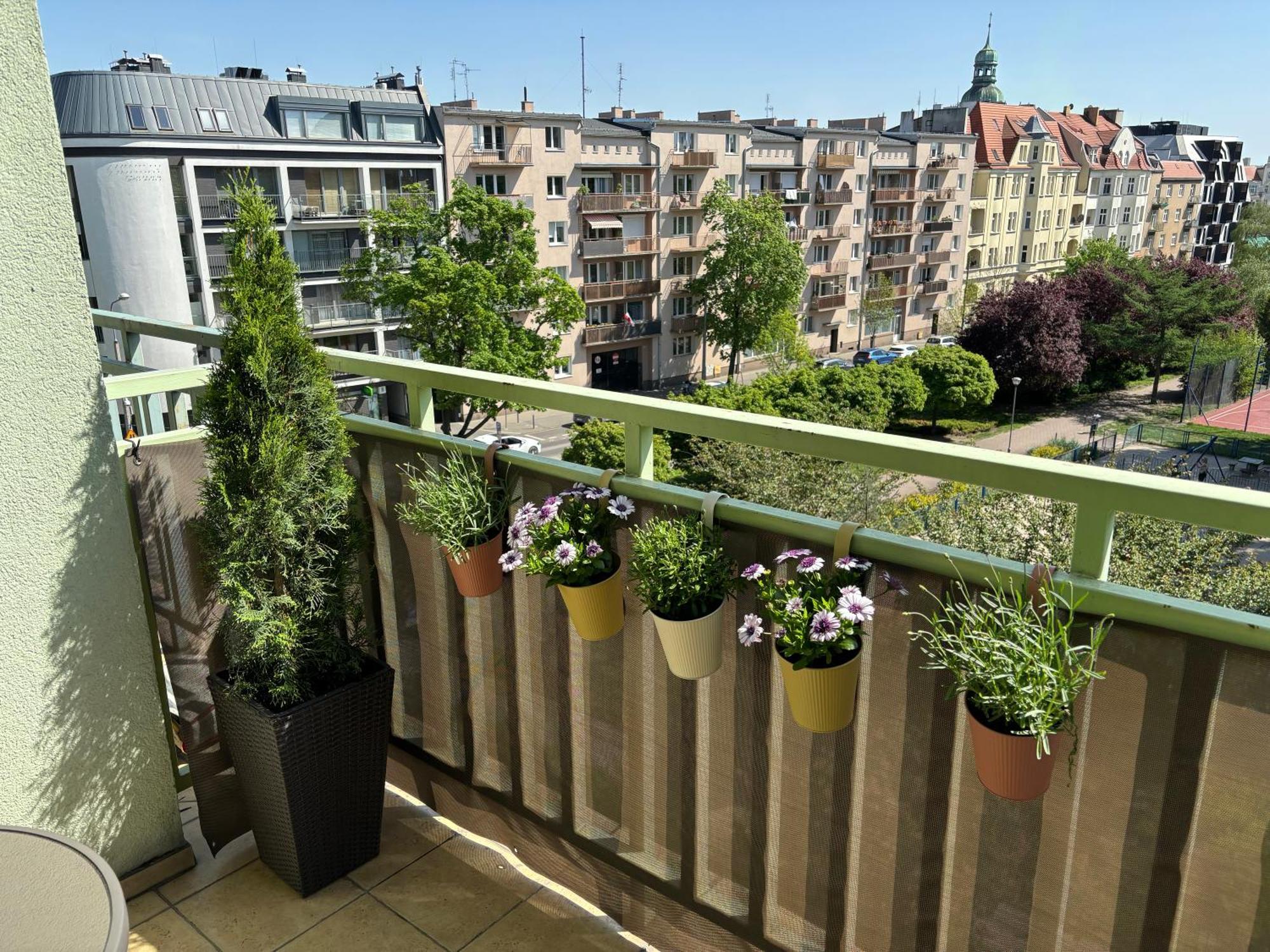 Apartament Wilda Poznań Eksteriør bilde